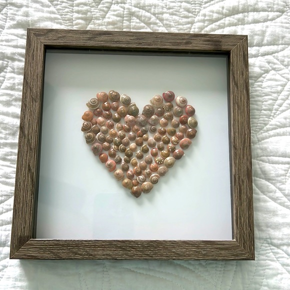 Other - Pink Sea Shell Heart VALENTINE
